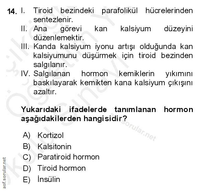 Soru 14