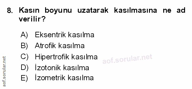 Soru 8