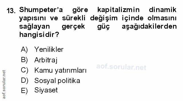 Soru 13
