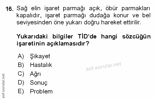 Soru 16