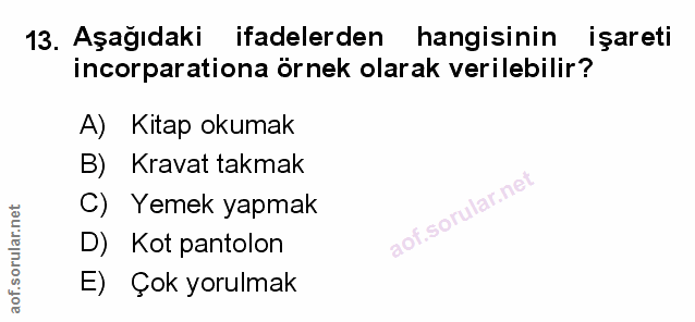 Soru 13
