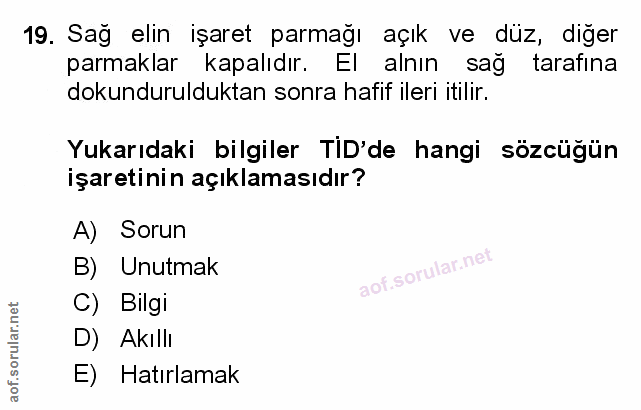 Soru 19