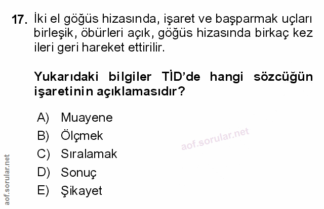 Soru 17