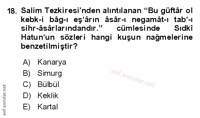 Soru 18