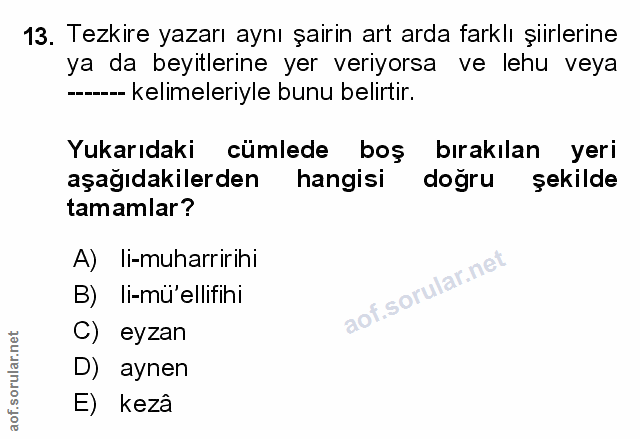 Soru 13