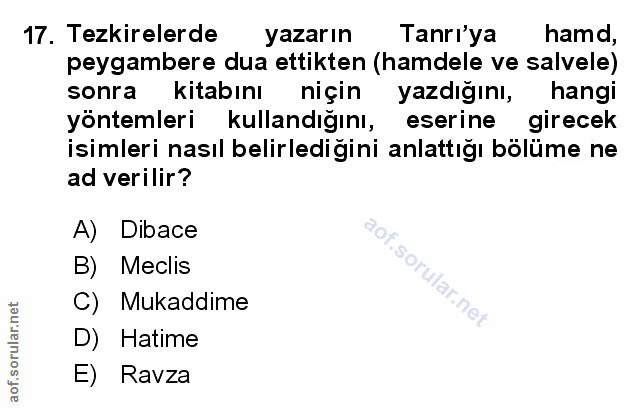 Soru 17