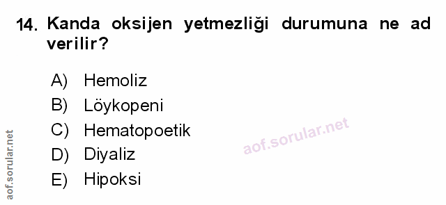 Soru 14