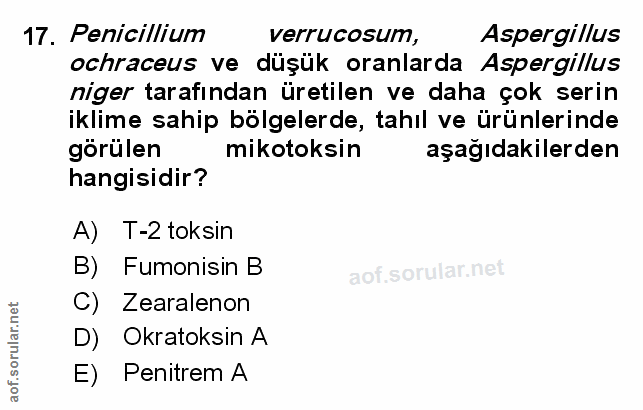 Soru 17