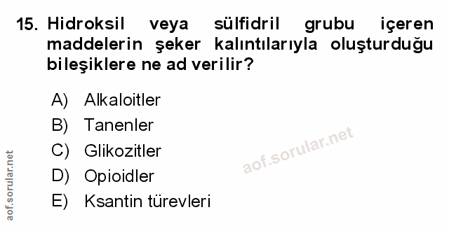 Soru 15