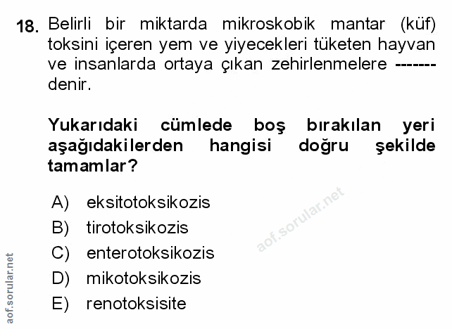 Soru 18
