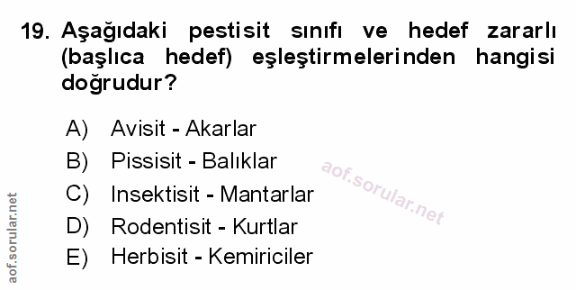 Soru 19
