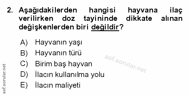 Soru 2