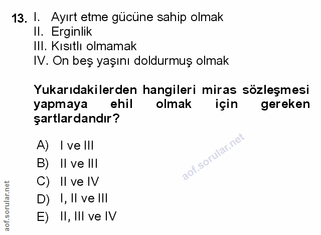 Soru 13
