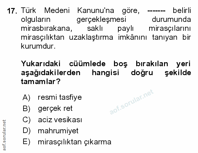 Soru 17