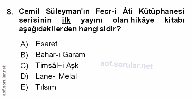 Soru 8