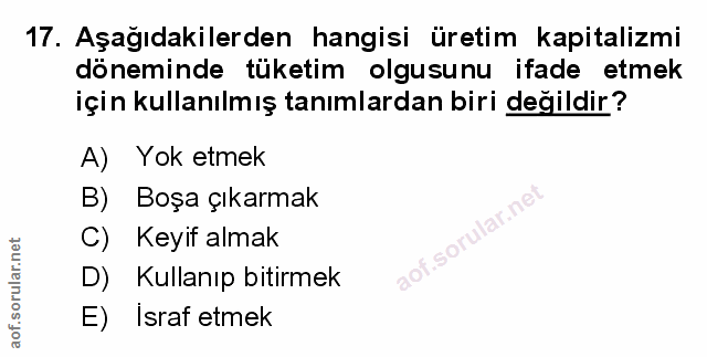 Soru 17