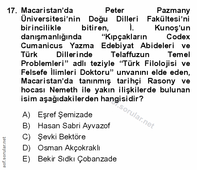 Soru 17