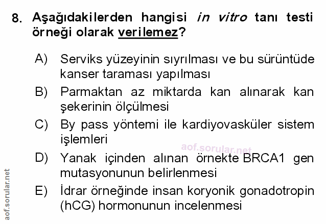 Soru 8