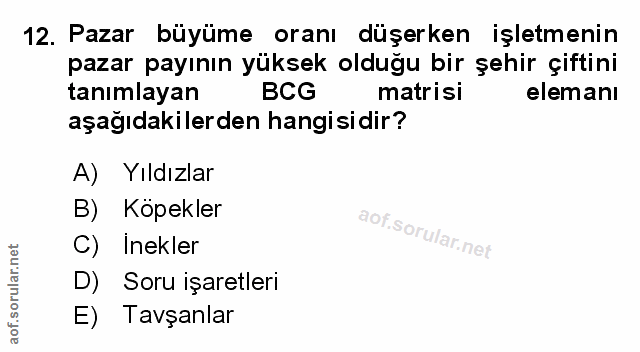 Soru 12