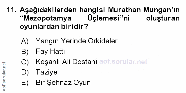 Soru 11