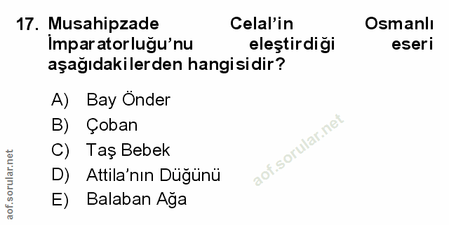 Soru 17