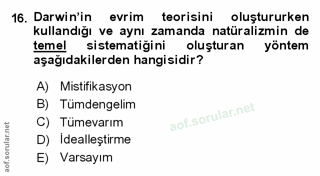 Soru 16