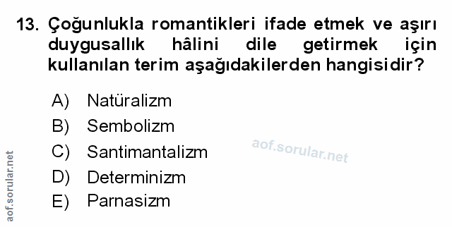 Soru 13