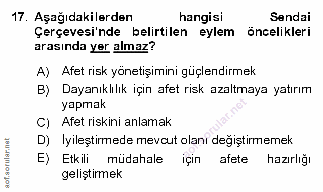 Soru 17