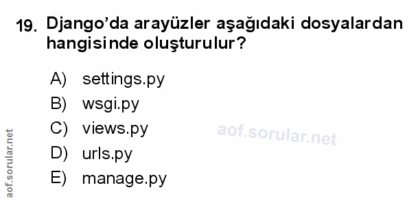 Soru 19