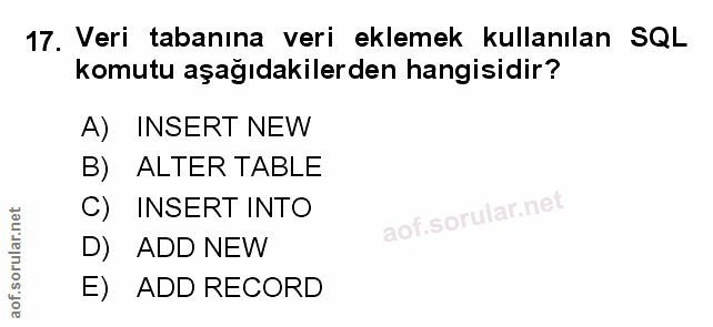 Soru 17