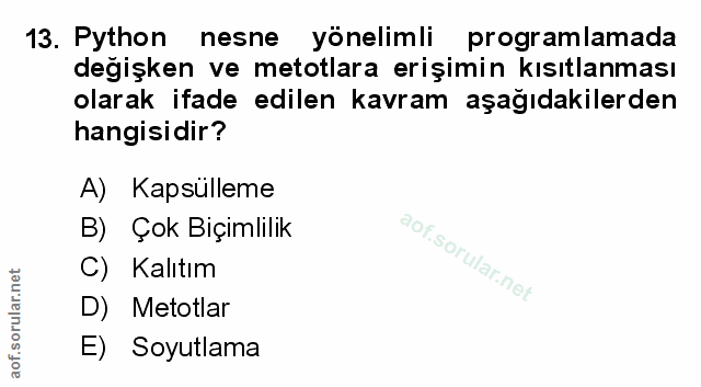 Soru 13