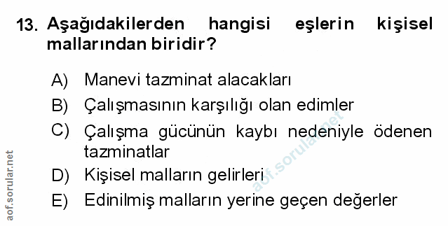 Soru 13