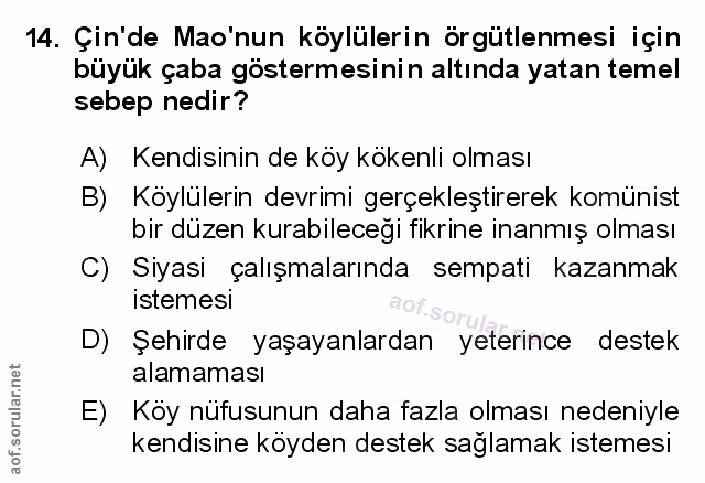 Soru 14