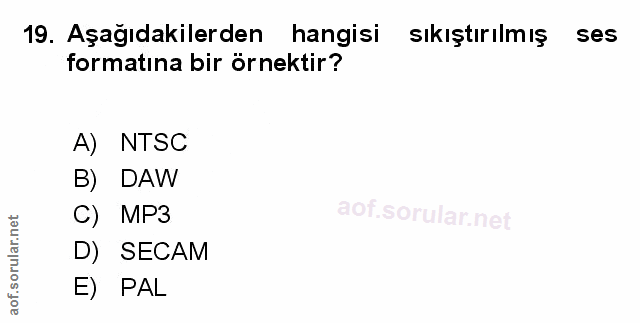 Soru 19