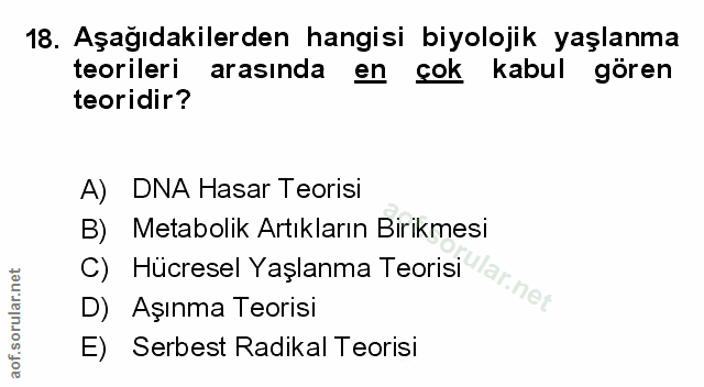 Soru 18