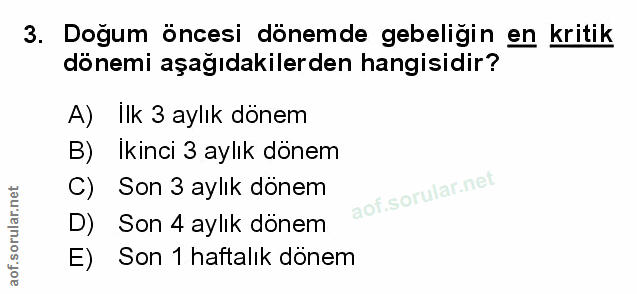 Soru 3
