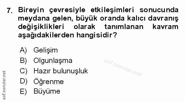 Soru 7