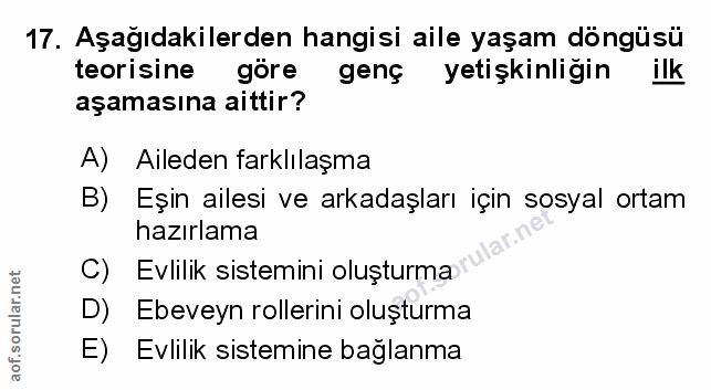 Soru 17