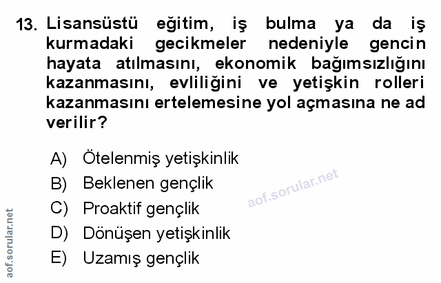 Soru 13