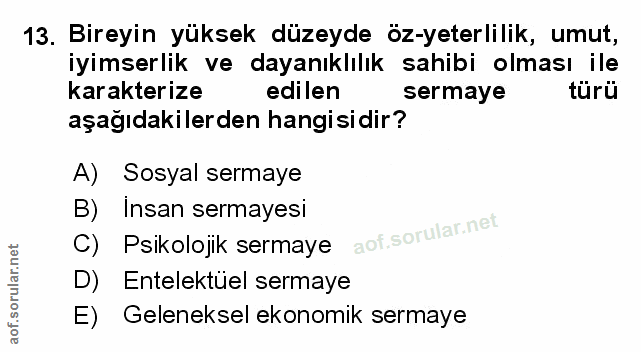 Soru 13
