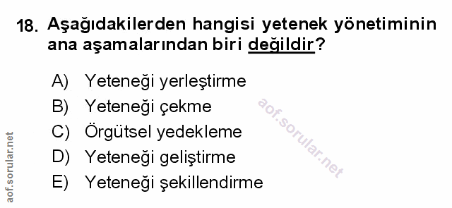 Soru 18
