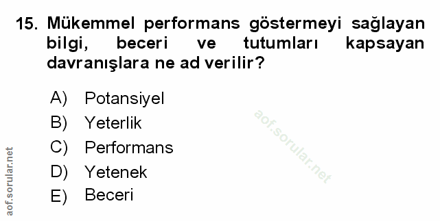 Soru 15