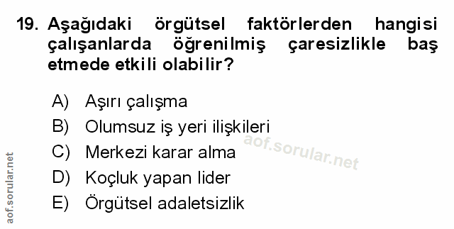 Soru 19