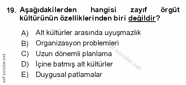 Soru 19