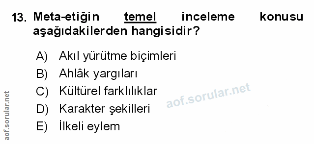 Soru 13