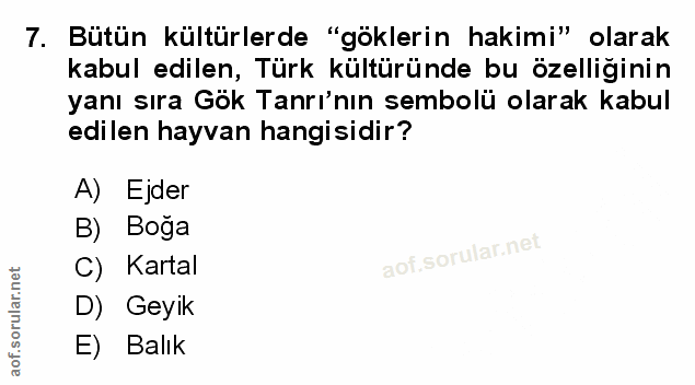 Soru 7