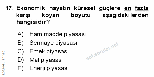 Soru 17