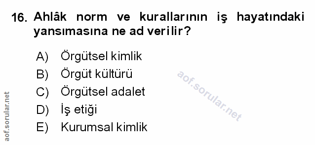 Soru 16