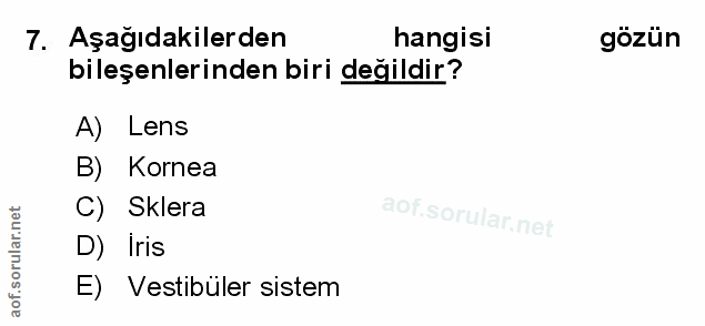 Soru 7
