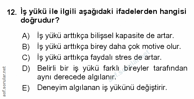 Soru 12